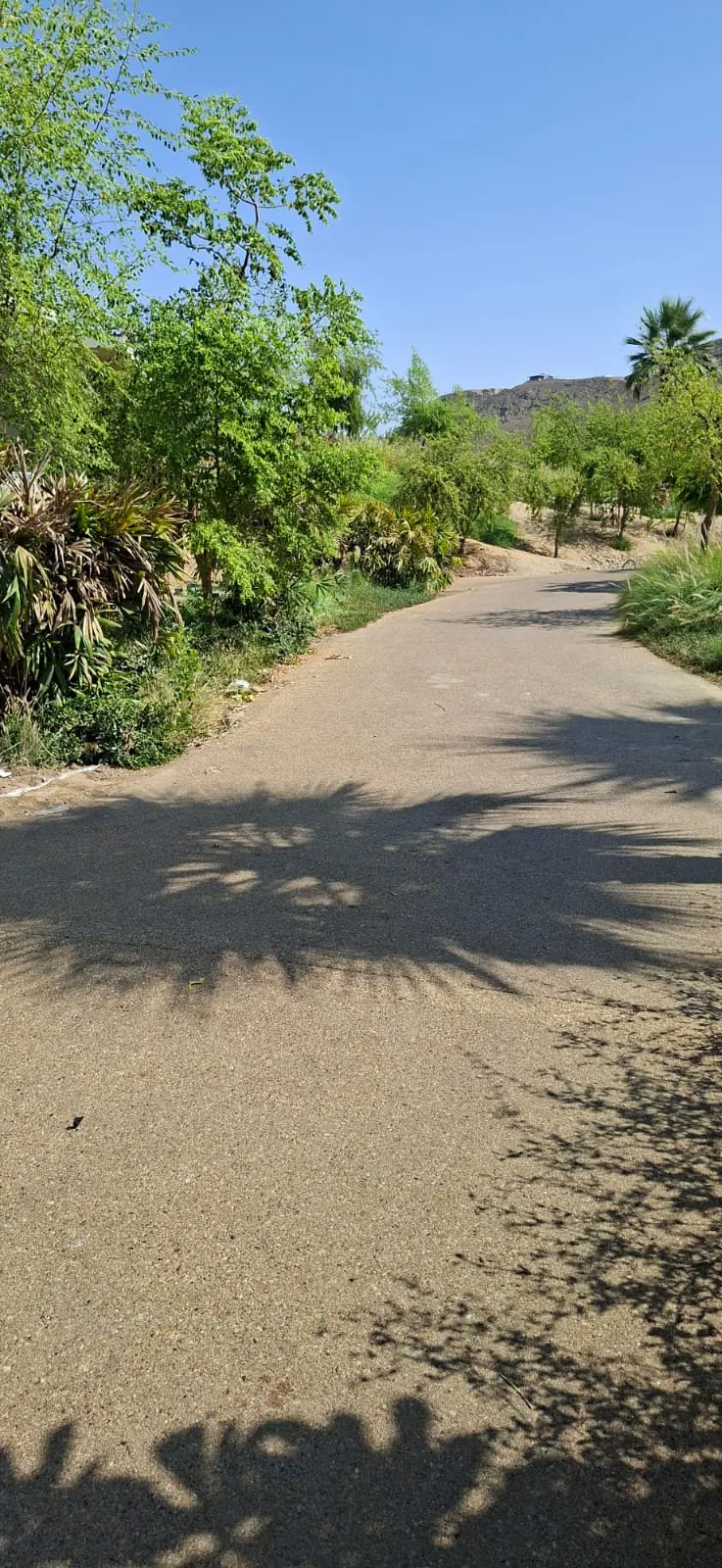 Al-Kharj – Riyadh Corridor Development & Landscaping — site photograph 4